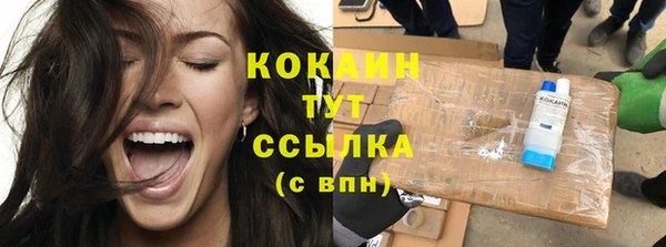 тгк Няндома