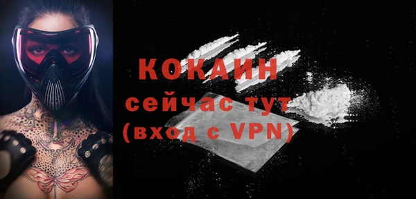 не бодяженный Алексин